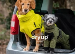 Dryup Body Zip.fit Mini Hundebademantel Moos 9 Dryup Body Zip.fit Mini Hundebademantel Moos -Günstiges Hundeshop Geschäft 828189 Product