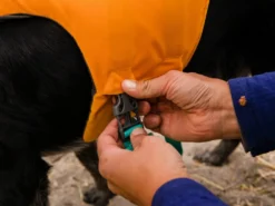 Ruffwear Float Coat™ Schwimmweste Für Hunde Wave Orange 13 Ruffwear Float Coat™ Schwimmweste Für Hunde Wave Orange -Günstiges Hundeshop Geschäft 828414 Product