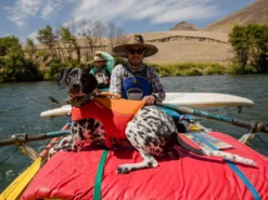 Ruffwear Float Coat™ Schwimmweste Für Hunde Red Sumac 12 Ruffwear Float Coat™ Schwimmweste Für Hunde Red Sumac -Günstiges Hundeshop Geschäft 828953 Product