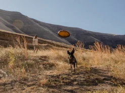 Ruffwear Frisbee Hover Craft™ -Günstiges Hundeshop Geschäft 829373 Product