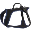 Grossenbacher Autosicherheitsgeschirr FunRun Travel Blau 1 Grossenbacher Autosicherheitsgeschirr FunRun Travel Blau -Günstiges Hundeshop Geschäft 832416 Product
