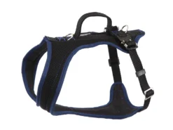 Grossenbacher Autosicherheitsgeschirr FunRun Travel Blau