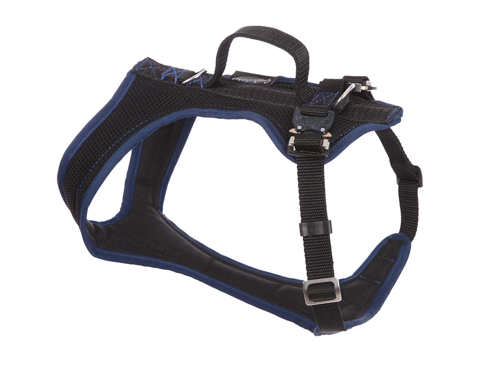 Grossenbacher Autosicherheitsgeschirr FunRun Travel Blau 4 Grossenbacher Autosicherheitsgeschirr FunRun Travel Blau – Bild 2