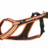 Weltmeisters Dogsport Safety Zug- Und Führgeschirr Für Hunde Schwarz/orange 1 Weltmeisters Dogsport Safety Zug- Und Führgeschirr Für Hunde Schwarz/orange -Günstiges Hundeshop Geschäft 832865 Product