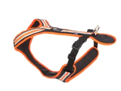 Weltmeisters Dogsport Safety Zug- Und Führgeschirr Für Hunde Schwarz/orange -Günstiges Hundeshop Geschäft 832879 Product