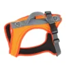 Grossenbacher Hundegeschirr FunRun Standard Leuchtorange