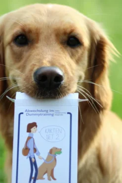 Dummytraining Karten Set 2 -Günstiges Hundeshop Geschäft 834846 Product