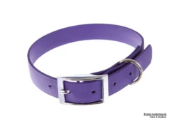 Relaxoo Biothane Hundehalsband Violett 13 Mm Breit