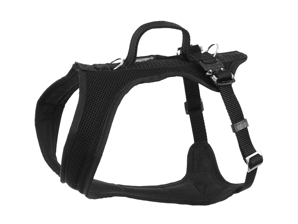 Grossenbacher Autosicherheitsgeschirr FunRun Travel Schwarz 3 Grossenbacher Autosicherheitsgeschirr FunRun Travel Schwarz