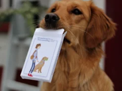 Dummytraining Karten Set 1 -Günstiges Hundeshop Geschäft 844649 Product