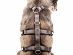 Style Snout Sicherheitsgeschirr Patch & Safe Silver 9 Style Snout Sicherheitsgeschirr Patch & Safe Silver -Günstiges Hundeshop Geschäft 846283 Product