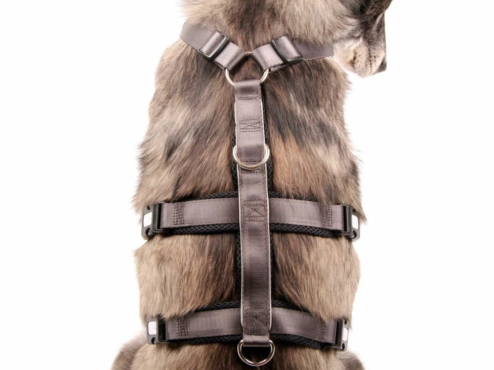 Style Snout Sicherheitsgeschirr Patch & Safe Silver 5 Style Snout Sicherheitsgeschirr Patch & Safe Silver – Bild 3