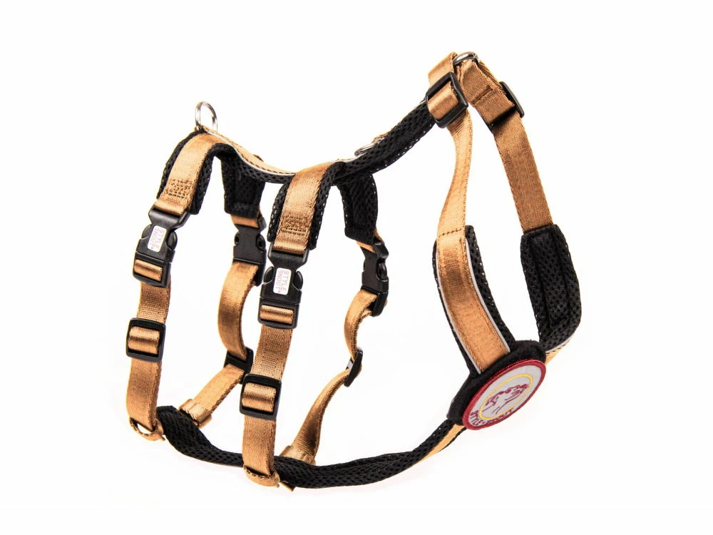 Style Snout Sicherheitsgeschirr Patch & Safe Gold 3 Style Snout Sicherheitsgeschirr Patch & Safe Gold