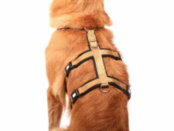 Style Snout Sicherheitsgeschirr Patch & Safe Gold 9 Style Snout Sicherheitsgeschirr Patch & Safe Gold -Günstiges Hundeshop Geschäft 846423 Product