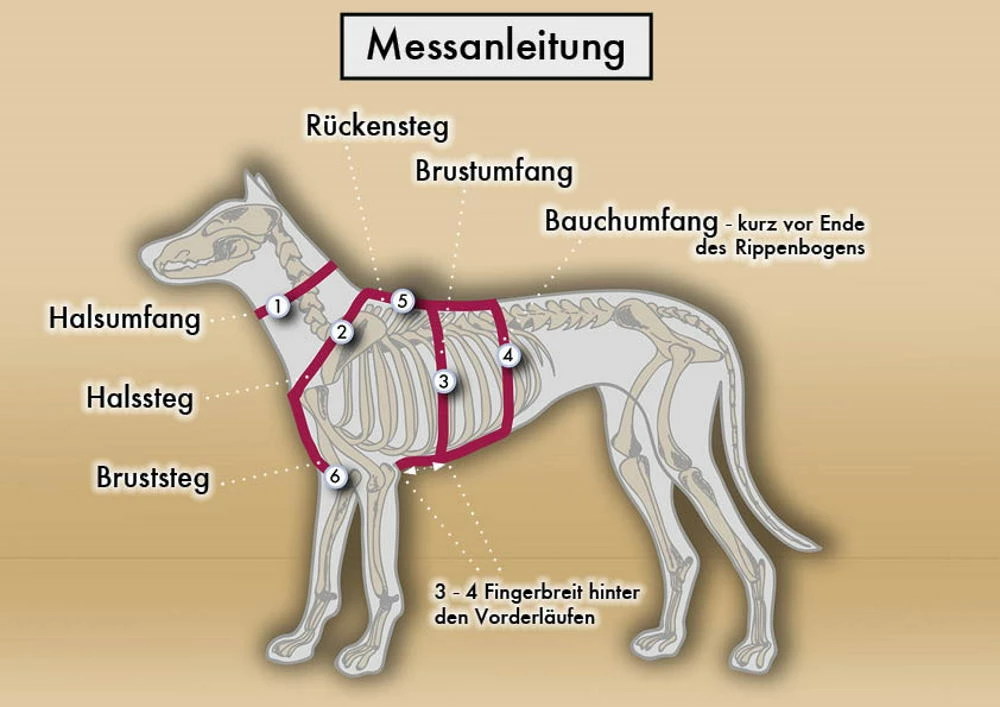 Style Snout Sicherheitsgeschirr Patch & Safe Silver 7 Style Snout Sicherheitsgeschirr Patch & Safe Silver – Bild 5