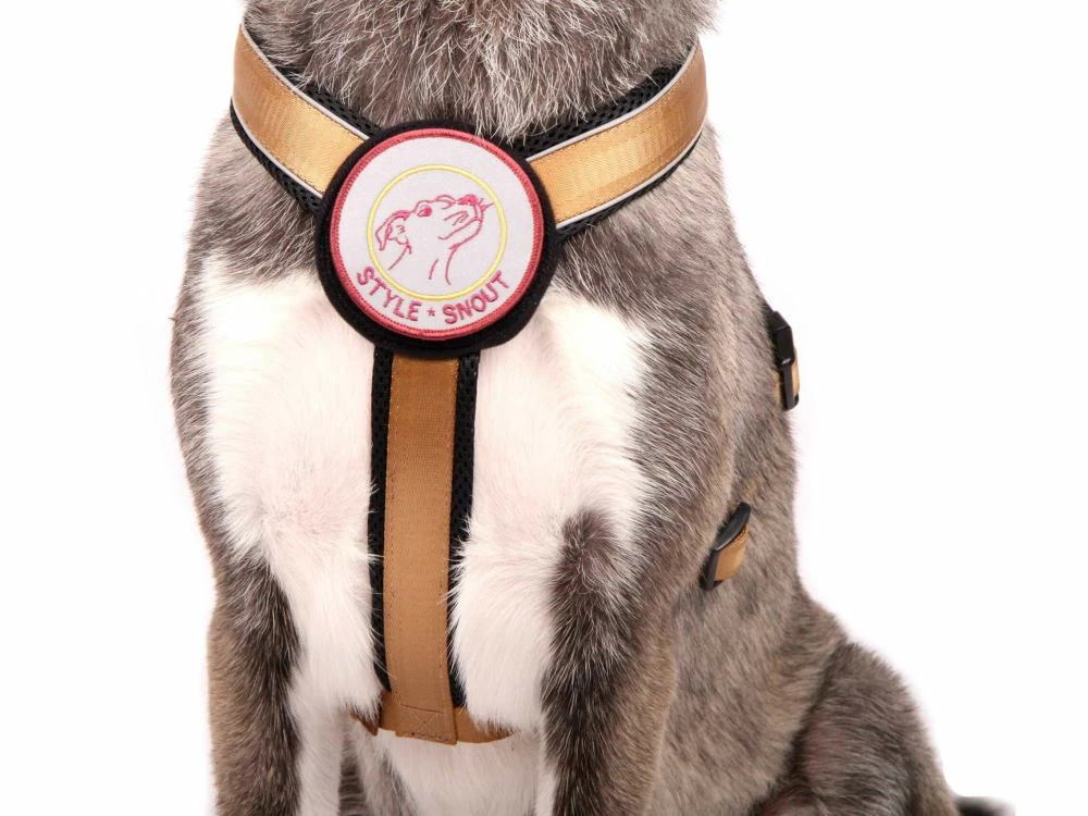 Style Snout Brustgeschirr Patch & Style Gold 4 Style Snout Brustgeschirr Patch & Style Gold – Bild 2