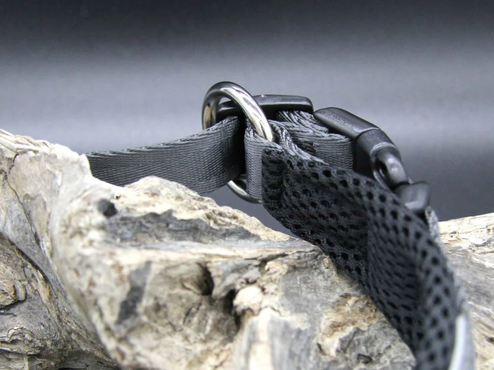 Style Snout Hundehalsband Silver-Black-Edition 4 Style Snout Hundehalsband Silver-Black-Edition – Bild 2