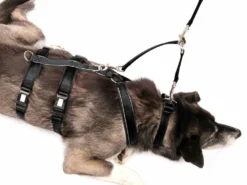 Style Snout Sicherungskoppel Für Halsband Und Geschirr 6 Style Snout Sicherungskoppel Für Halsband Und Geschirr -Günstiges Hundeshop Geschäft 846878 Product