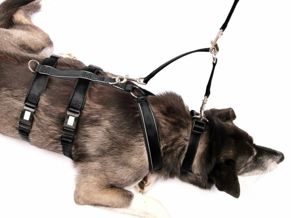 Style Snout Sicherungskoppel Für Halsband Und Geschirr 4 Style Snout Sicherungskoppel Für Halsband Und Geschirr – Bild 2