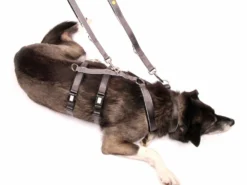 Style Snout Hundeleine Silver-Black-Edition 6 Style Snout Hundeleine Silver-Black-Edition -Günstiges Hundeshop Geschäft 846899 Product