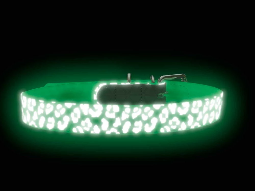 Hunter Halsband Convenience Reflect Glow 5 Hunter Halsband Convenience Reflect Glow – Bild 3