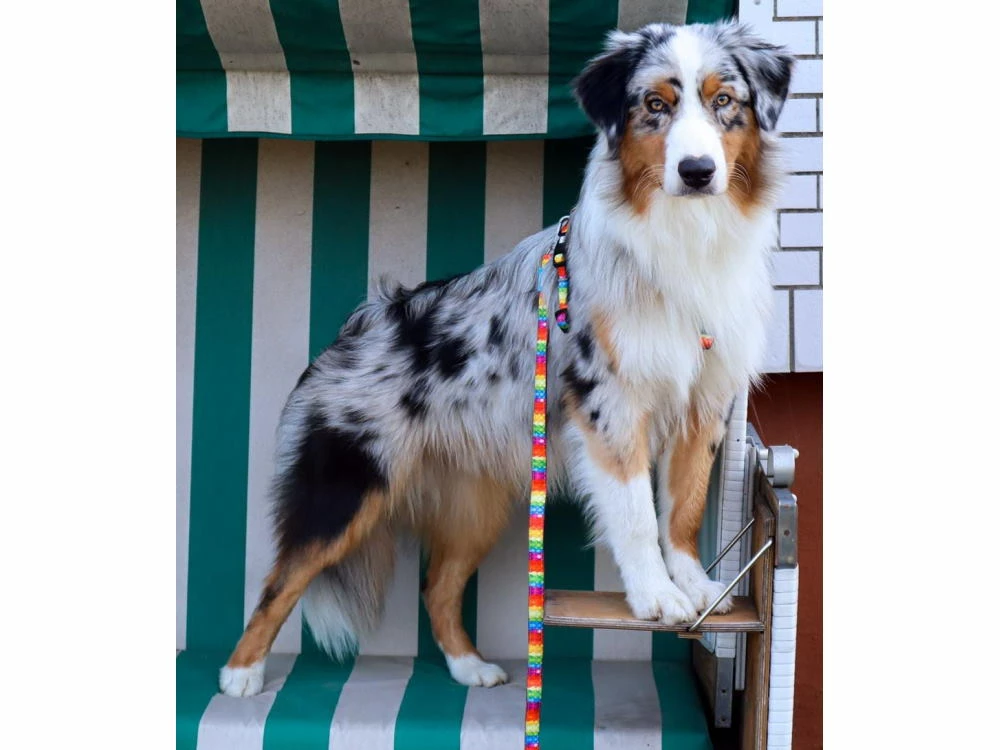 Max & Molly Hundeleine Jelly Bears 120 Cm 4 Max & Molly Hundeleine Jelly Bears 120 Cm – Bild 2