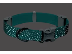 Ruffwear Confluence Reflektierendes Hundehalsband Aurora Teal -Günstiges Hundeshop Geschäft 848489 Product