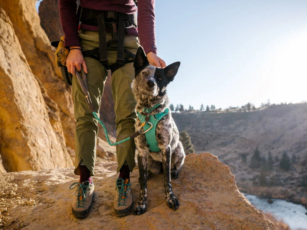 Ruffwear Knot-a-Collar™ Hundehalsband Aurora Teal 7 Ruffwear Knot-a-Collar™ Hundehalsband Aurora Teal – Bild 5