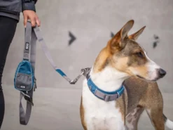 Dog Copenhagen Urban Trail V2 Hundeleine Ocean Blue -Günstiges Hundeshop Geschäft 850174 Product