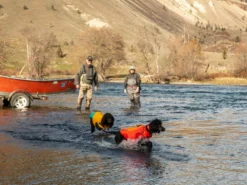 Ruffwear Confluence Reflektierendes Hundehalsband Red Sumac 10 Ruffwear Confluence Reflektierendes Hundehalsband Red Sumac -Günstiges Hundeshop Geschäft 850288 Product