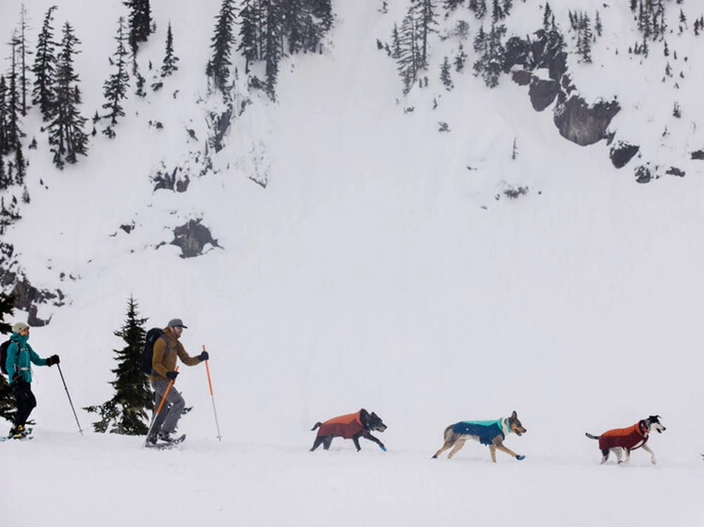 Ruffwear Confluence Reflektierendes Hundehalsband Midnight Blue 7 Ruffwear Confluence Reflektierendes Hundehalsband Midnight Blue – Bild 5