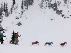 Ruffwear Confluence Reflektierendes Hundehalsband Aurora Teal -Günstiges Hundeshop Geschäft 850452 Product