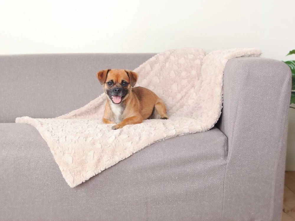 Trixie Weiche Hundedecke Cosy Beige 5 Trixie Weiche Hundedecke Cosy Beige – Bild 3