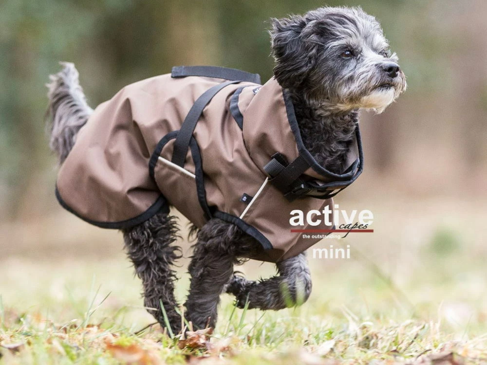 Active Cape Light Mini 4 Active Cape Light Mini – Bild 2