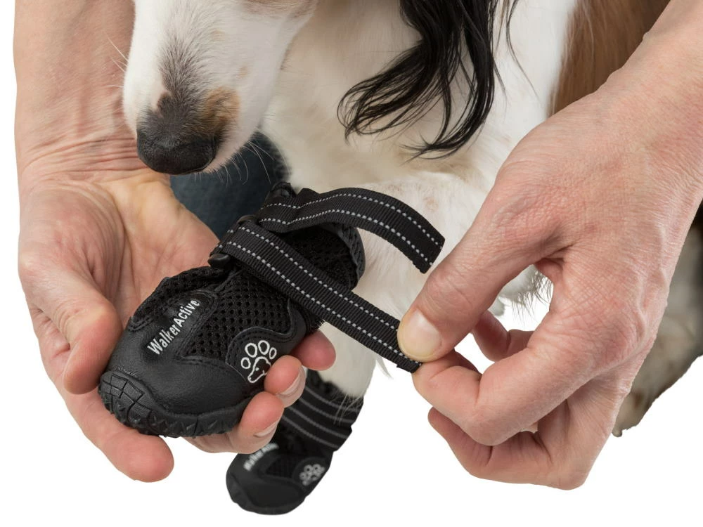 Trixie Walker Active Hundeschuhe Schwarz 6 Trixie Walker Active Hundeschuhe Schwarz – Bild 4