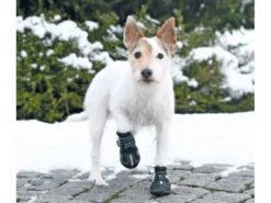 Trixie Walker Active Hundeschuhe Schwarz 12 Trixie Walker Active Hundeschuhe Schwarz -Günstiges Hundeshop Geschäft 858918 Product