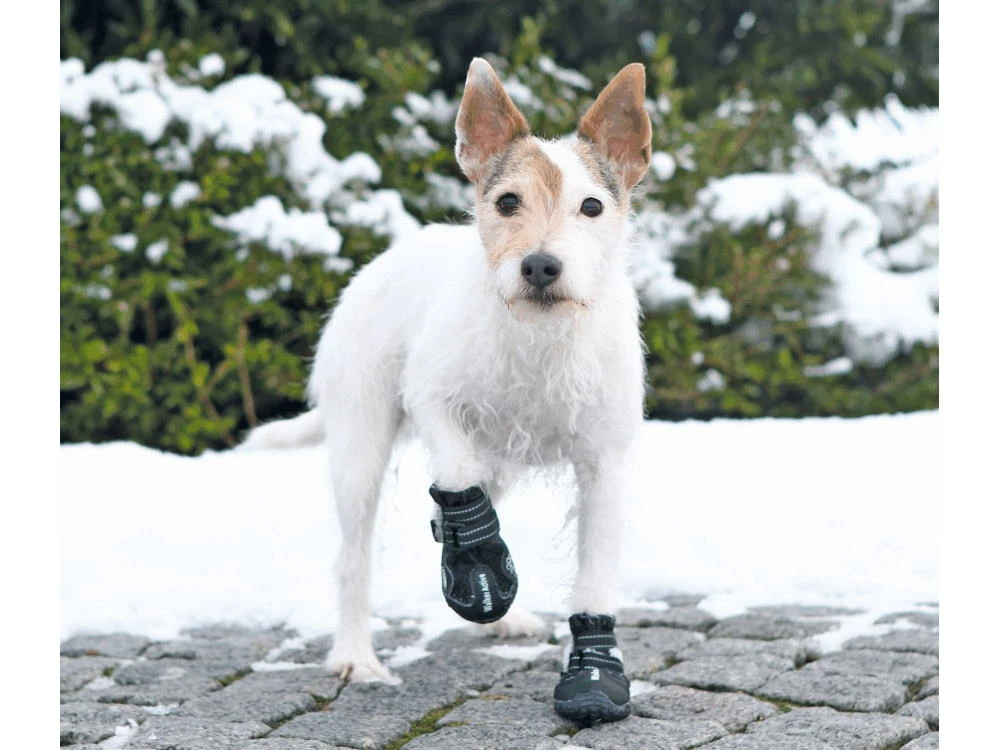 Trixie Walker Active Hundeschuhe Schwarz 7 Trixie Walker Active Hundeschuhe Schwarz – Bild 5