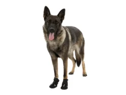 Trixie Walker Active Hundeschuhe Schwarz 13 Trixie Walker Active Hundeschuhe Schwarz -Günstiges Hundeshop Geschäft 858919 Product
