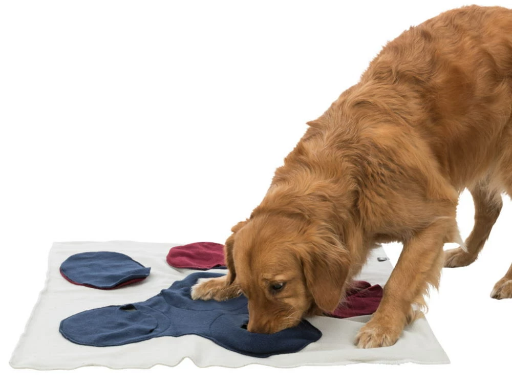 Trixie Dog Activity Schnüffeldecke Für Hunde 4 Trixie Dog Activity Schnüffeldecke Für Hunde – Bild 2