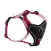 Wolters Hundegeschirr Professional Comfort Himbeer/rosé -Günstiges Hundeshop Geschäft 859889 Product
