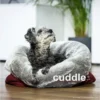 Cuddle Up® - Der Wandelbare Hundeliegeplatz -Günstiges Hundeshop Geschäft 864399 Product