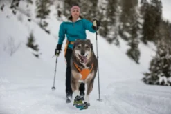 Ruffwear Omnijore™ Joring System Für Cani Cross Und Laufsport 16 Ruffwear Omnijore™ Joring System Für Cani Cross Und Laufsport -Günstiges Hundeshop Geschäft 864915 Product