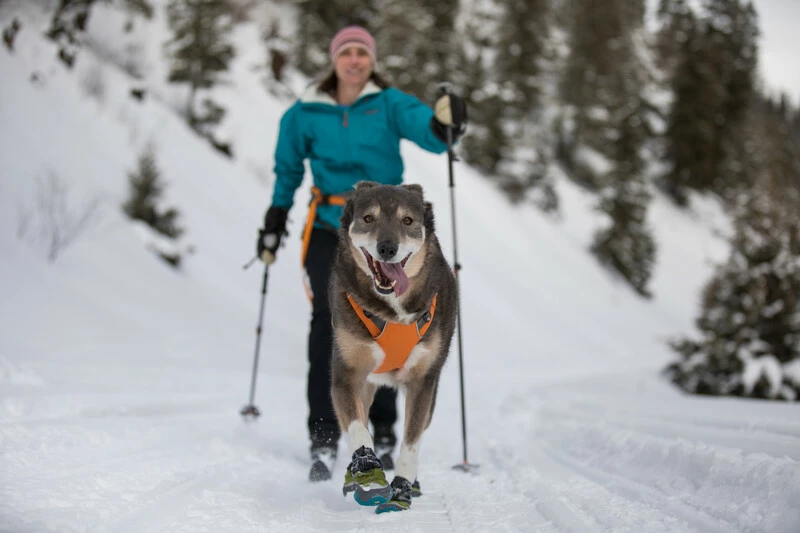 Ruffwear Omnijore™ Joring System Für Cani Cross Und Laufsport 8 Ruffwear Omnijore™ Joring System Für Cani Cross Und Laufsport – Bild 6