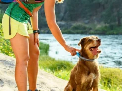 Ruffwear Quick Draw™ Hundeleine Granite Gray 11 Ruffwear Quick Draw™ Hundeleine Granite Gray -Günstiges Hundeshop Geschäft 866402 Product