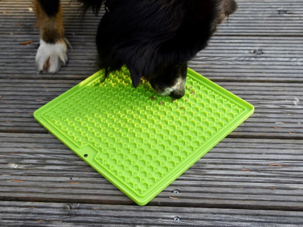 Schleckmatte LadiMat Viereck 30 Cm 4 Schleckmatte LadiMat Viereck 30 Cm – Bild 2