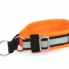 Weltmeisters Dogsport Hundehalsband Soft Mit Zugstopp Orange 1 Weltmeisters Dogsport Hundehalsband Soft Mit Zugstopp Orange -Günstiges Hundeshop Geschäft 867576 Product