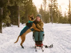 Ruffwear Vert Hundejacke Aurora Teal 18 Ruffwear Vert Hundejacke Aurora Teal -Günstiges Hundeshop Geschäft 870276 Product