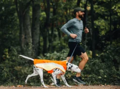 Ruffwear Lumenglow Reflektierende Weste Für Hunde Blaze Orange 14 Ruffwear Lumenglow Reflektierende Weste Für Hunde Blaze Orange -Günstiges Hundeshop Geschäft 872210 Product