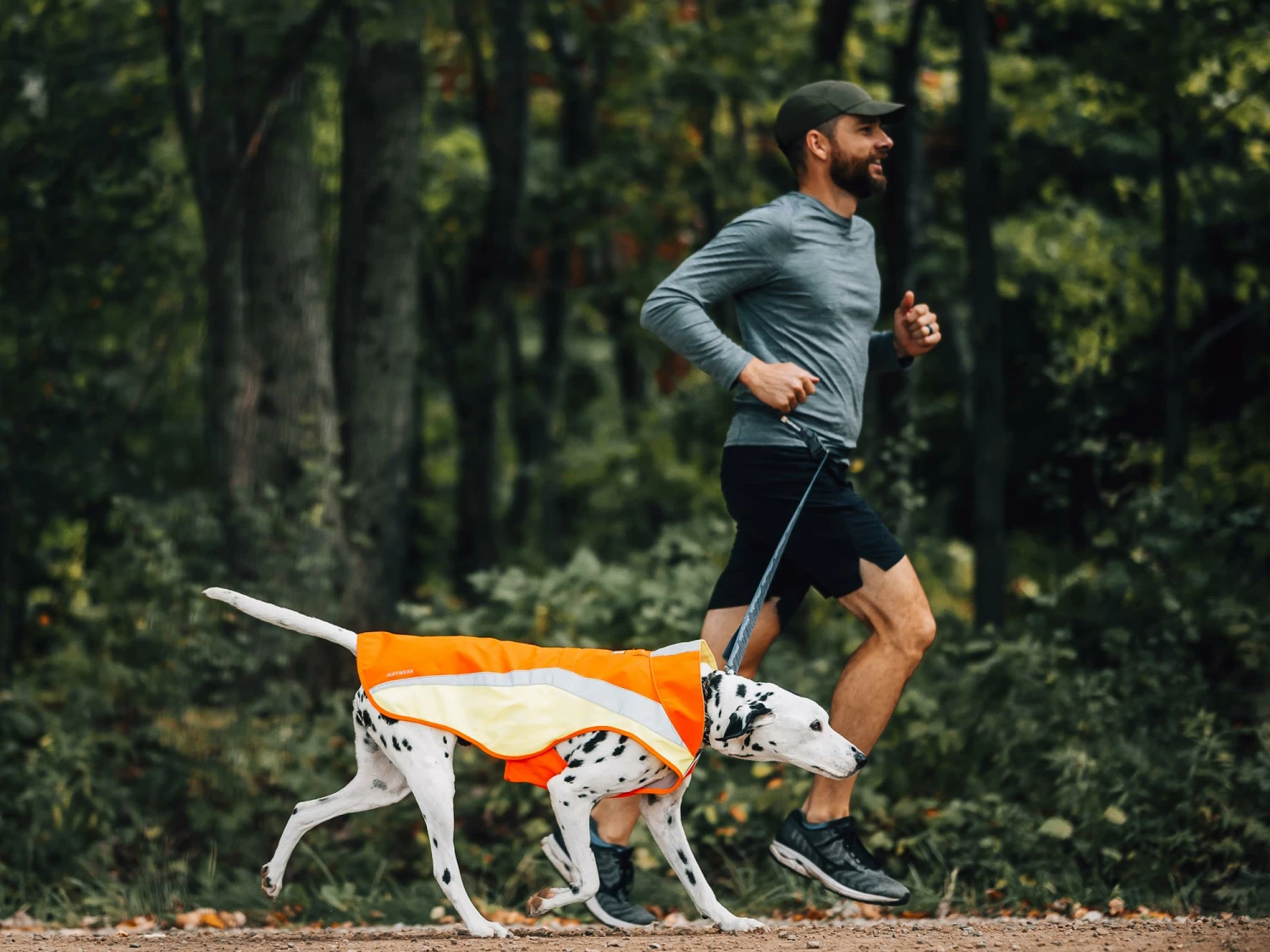 Ruffwear Lumenglow Reflektierende Weste Für Hunde Blaze Orange 7 Ruffwear Lumenglow Reflektierende Weste Für Hunde Blaze Orange – Bild 5