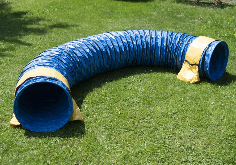 Hunde Profi Agility Tunnel FCI Konform 3 Hunde Profi Agility Tunnel FCI Konform